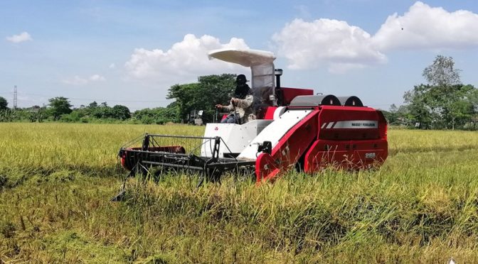 Menjelajahi Dunia Pertanian: Panduan Komprehensif